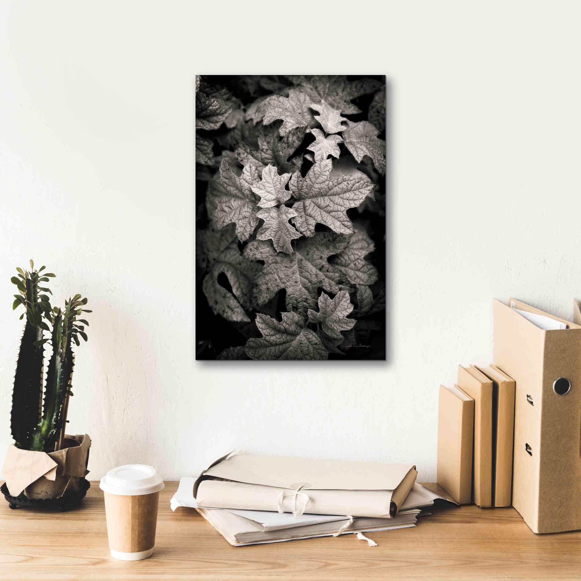 'Hydrangea Leaves in Black and White' by Debra Van Swearingen, Canvas Wall Art,12 x 18