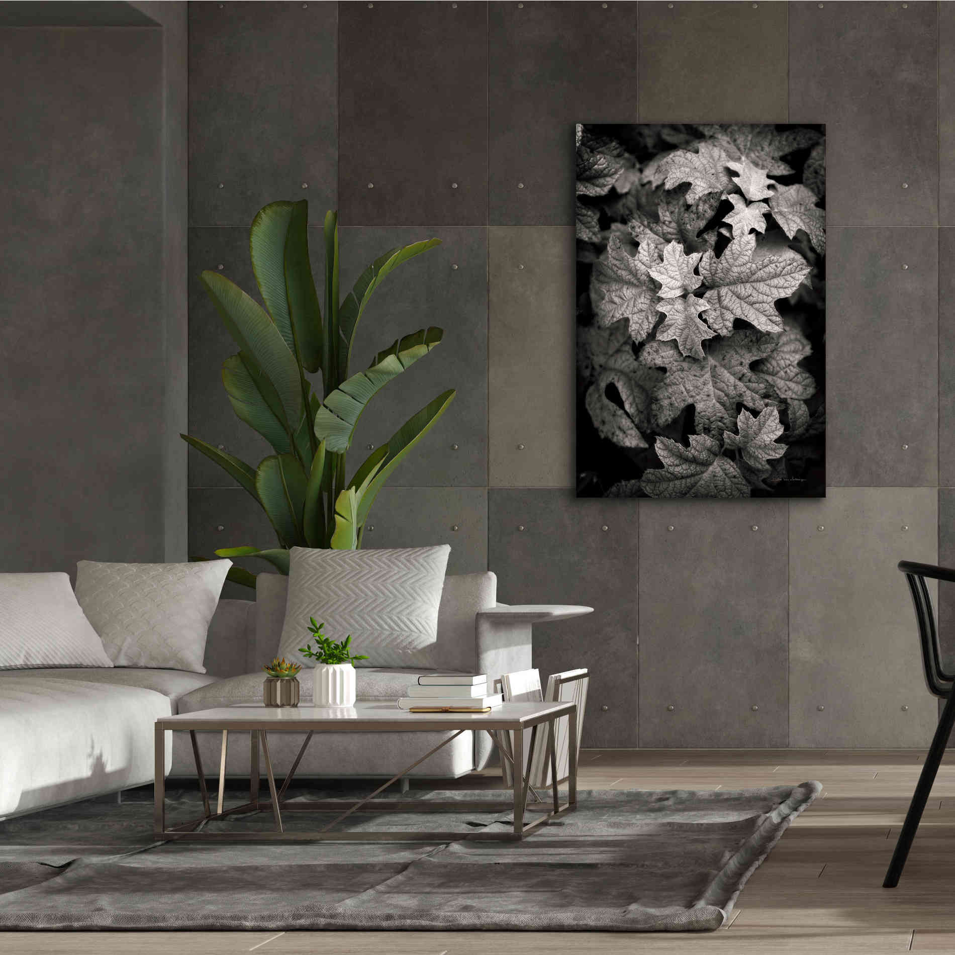 'Hydrangea Leaves in Black and White' by Debra Van Swearingen, Canvas Wall Art,40 x 60
