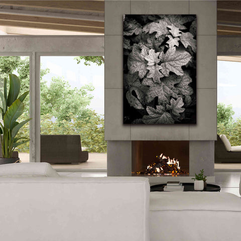 Image of 'Hydrangea Leaves in Black and White' by Debra Van Swearingen, Canvas Wall Art,40 x 60