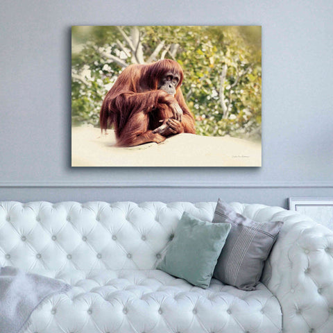Image of 'Orangutan' by Debra Van Swearingen, Canvas Wall Art,54 x 40