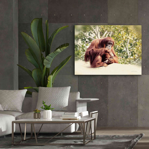 Image of 'Orangutan' by Debra Van Swearingen, Canvas Wall Art,54 x 40