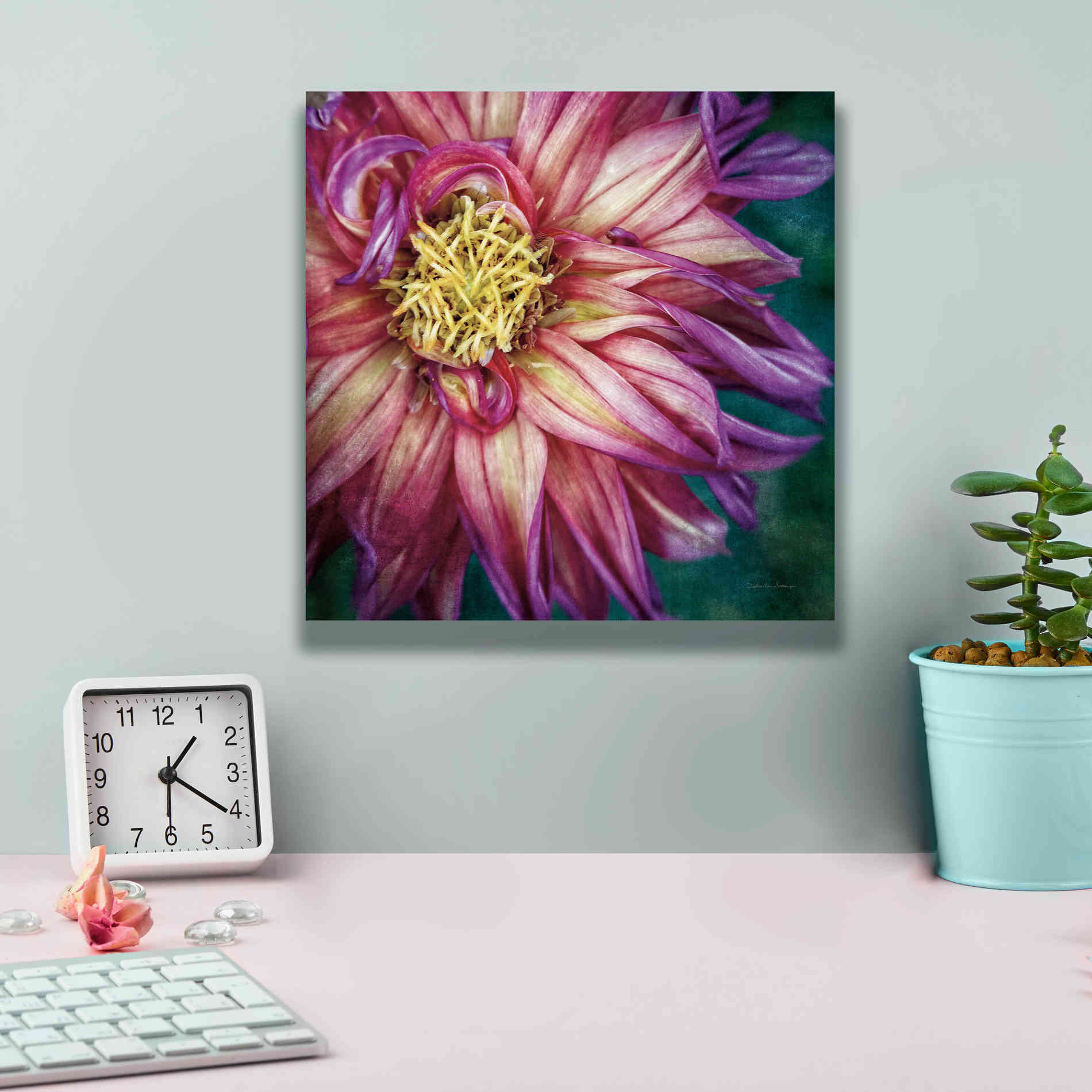 'Dahlia I' by Debra Van Swearingen, Canvas Wall Art,12 x 12