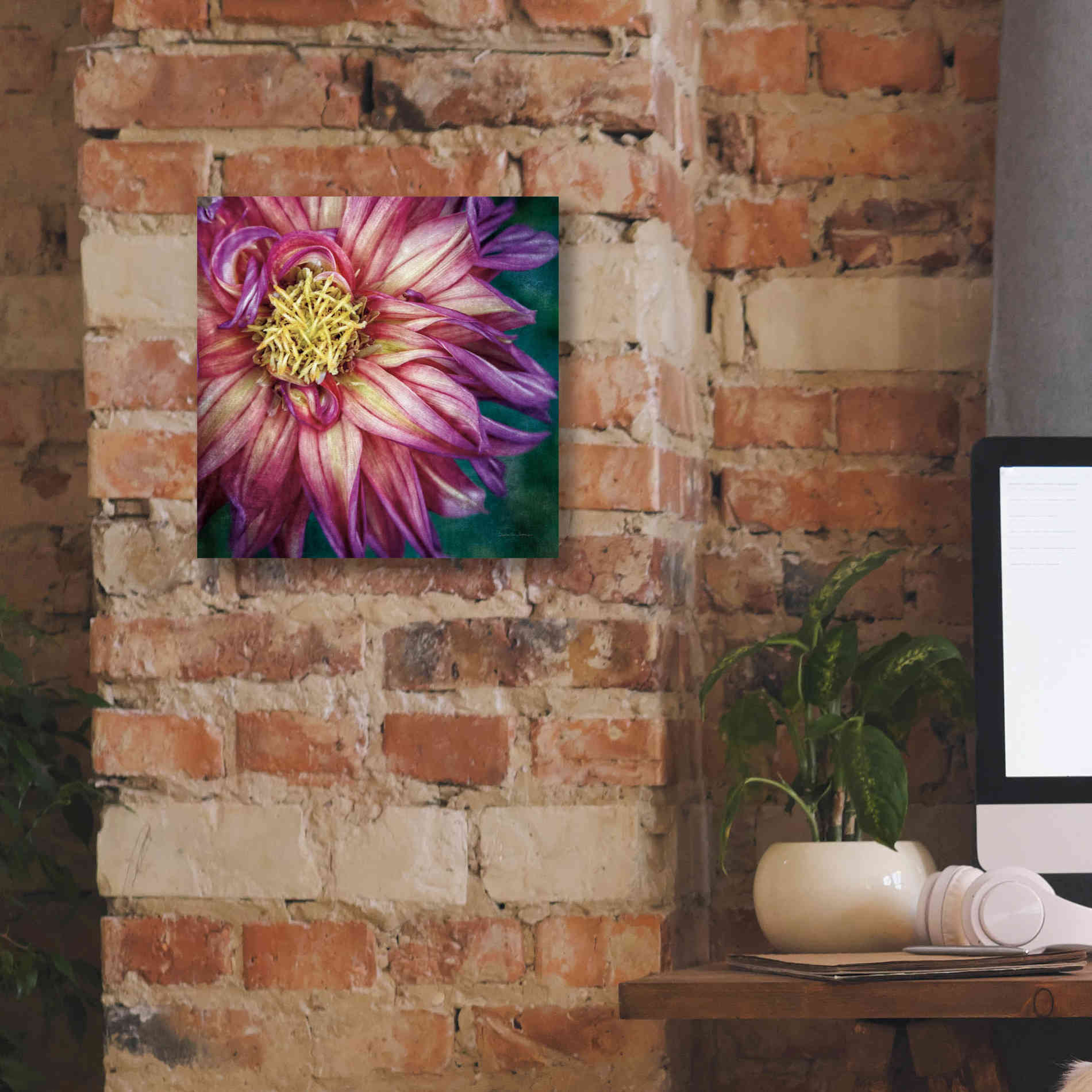 'Dahlia I' by Debra Van Swearingen, Canvas Wall Art,12 x 12