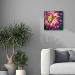 'Dahlia I' by Debra Van Swearingen, Canvas Wall Art,18 x 18