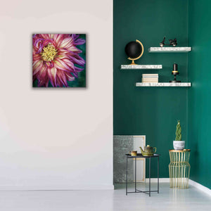 'Dahlia I' by Debra Van Swearingen, Canvas Wall Art,26 x 26