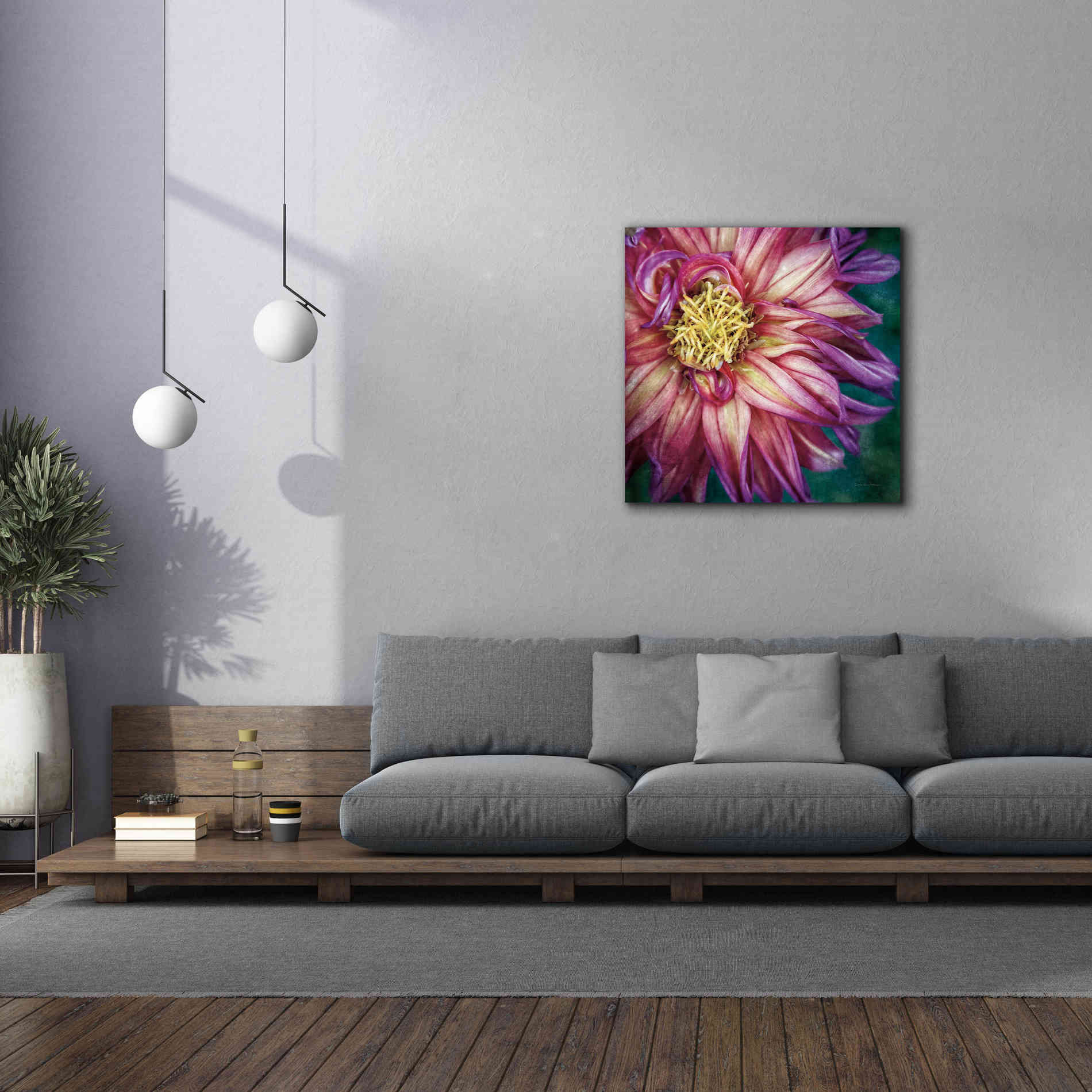 'Dahlia I' by Debra Van Swearingen, Canvas Wall Art,37 x 37