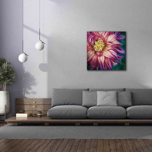 'Dahlia I' by Debra Van Swearingen, Canvas Wall Art,37 x 37