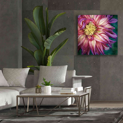 Image of 'Dahlia I' by Debra Van Swearingen, Canvas Wall Art,37 x 37