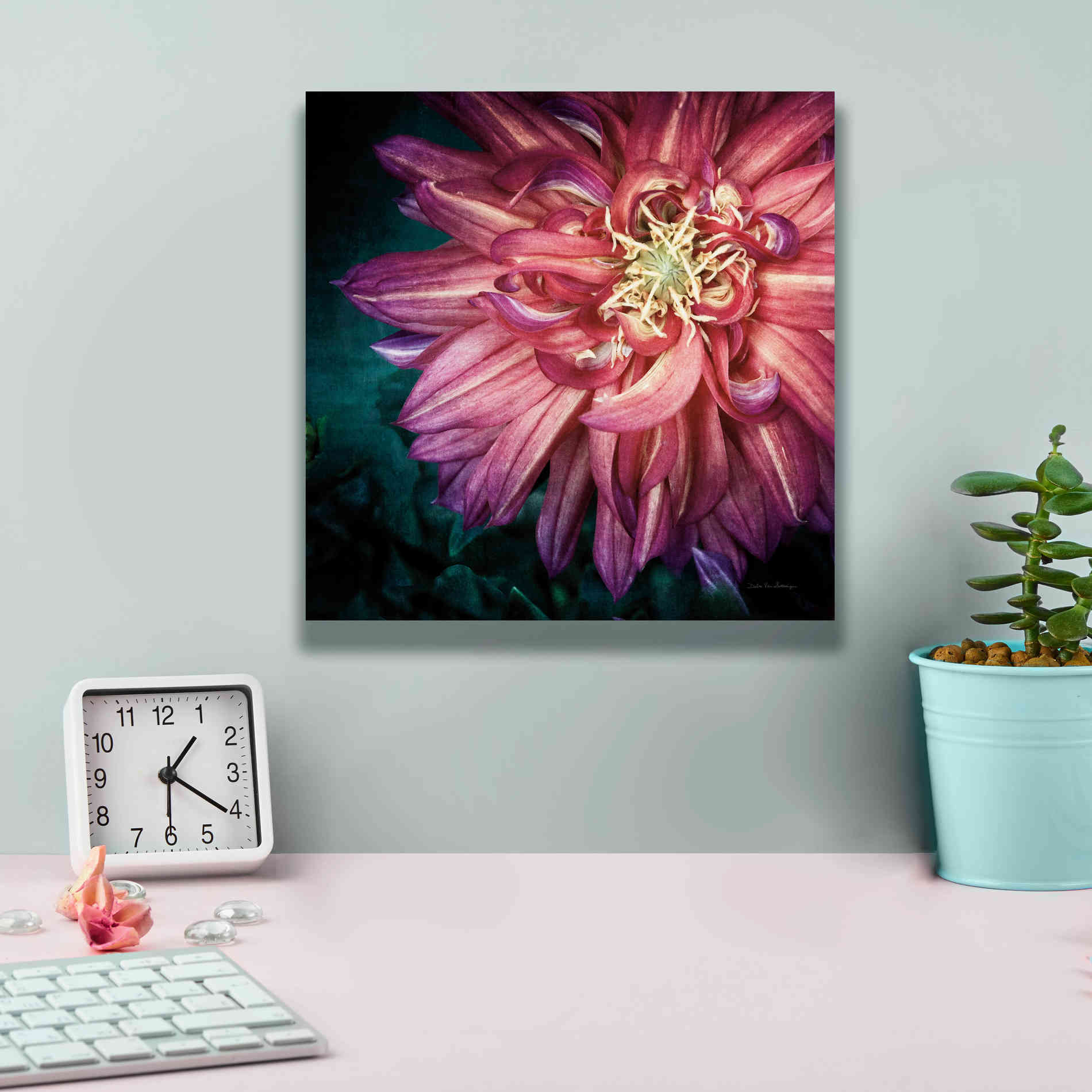'Dahlia II' by Debra Van Swearingen, Canvas Wall Art,12 x 12