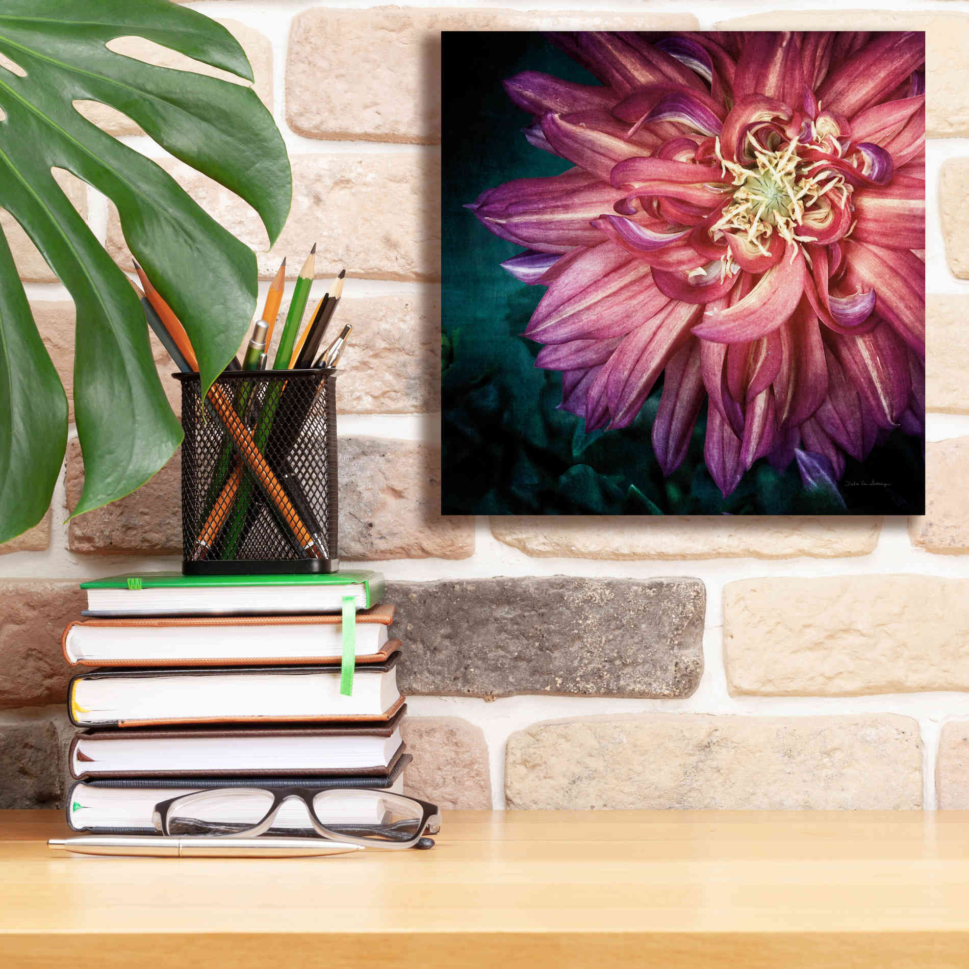 'Dahlia II' by Debra Van Swearingen, Canvas Wall Art,12 x 12