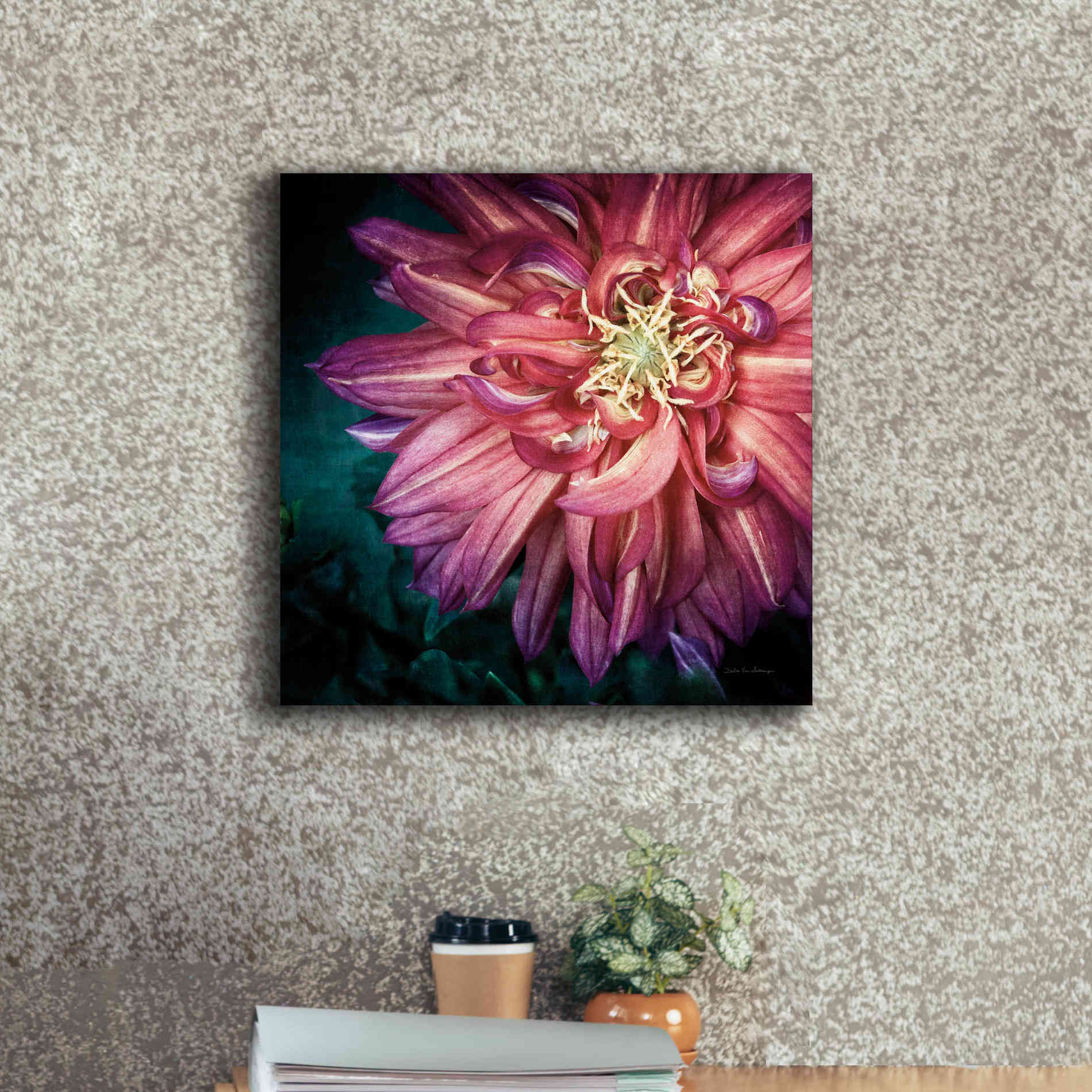 'Dahlia II' by Debra Van Swearingen, Canvas Wall Art,18 x 18