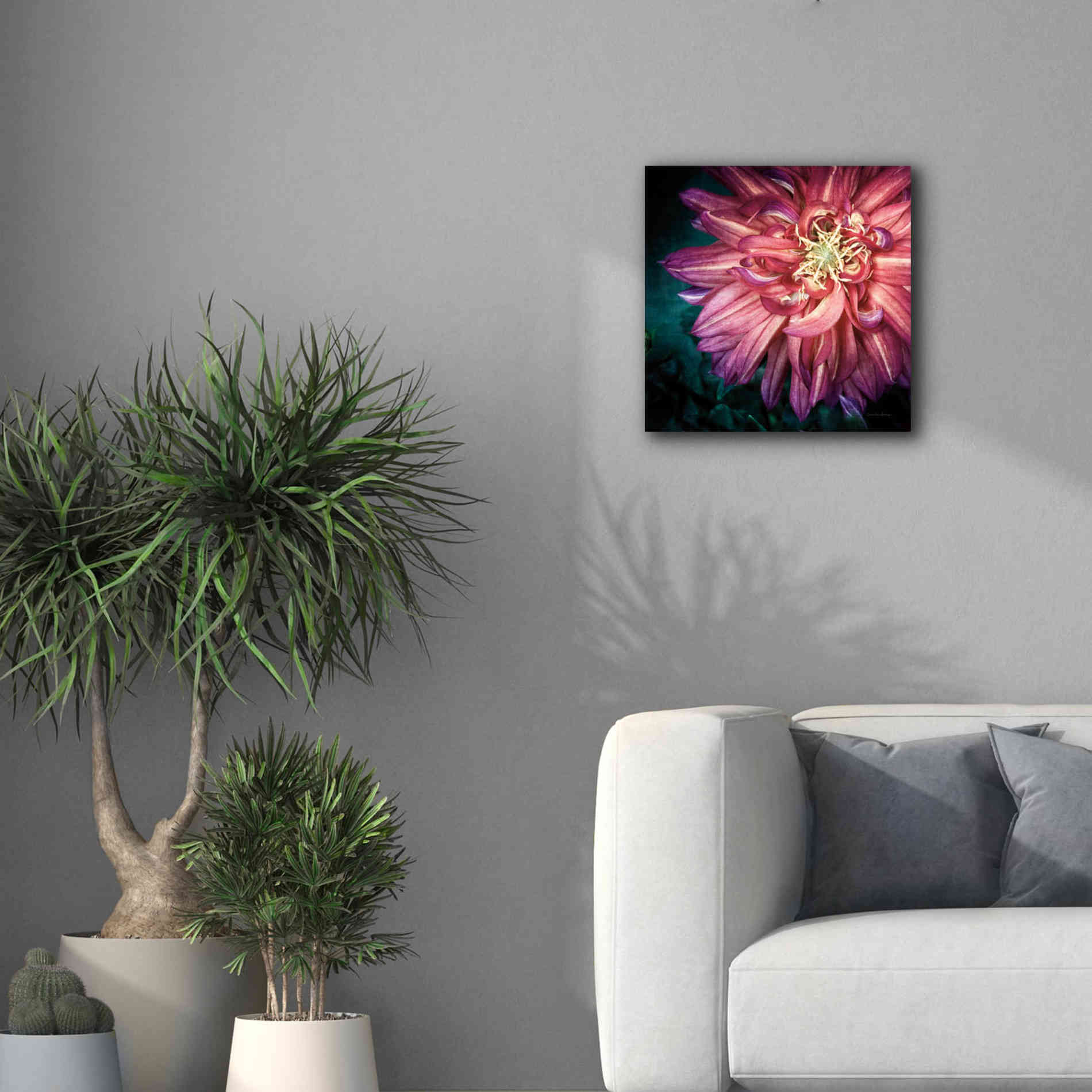 'Dahlia II' by Debra Van Swearingen, Canvas Wall Art,18 x 18