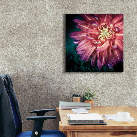 Image of 'Dahlia II' by Debra Van Swearingen, Canvas Wall Art,26 x 26