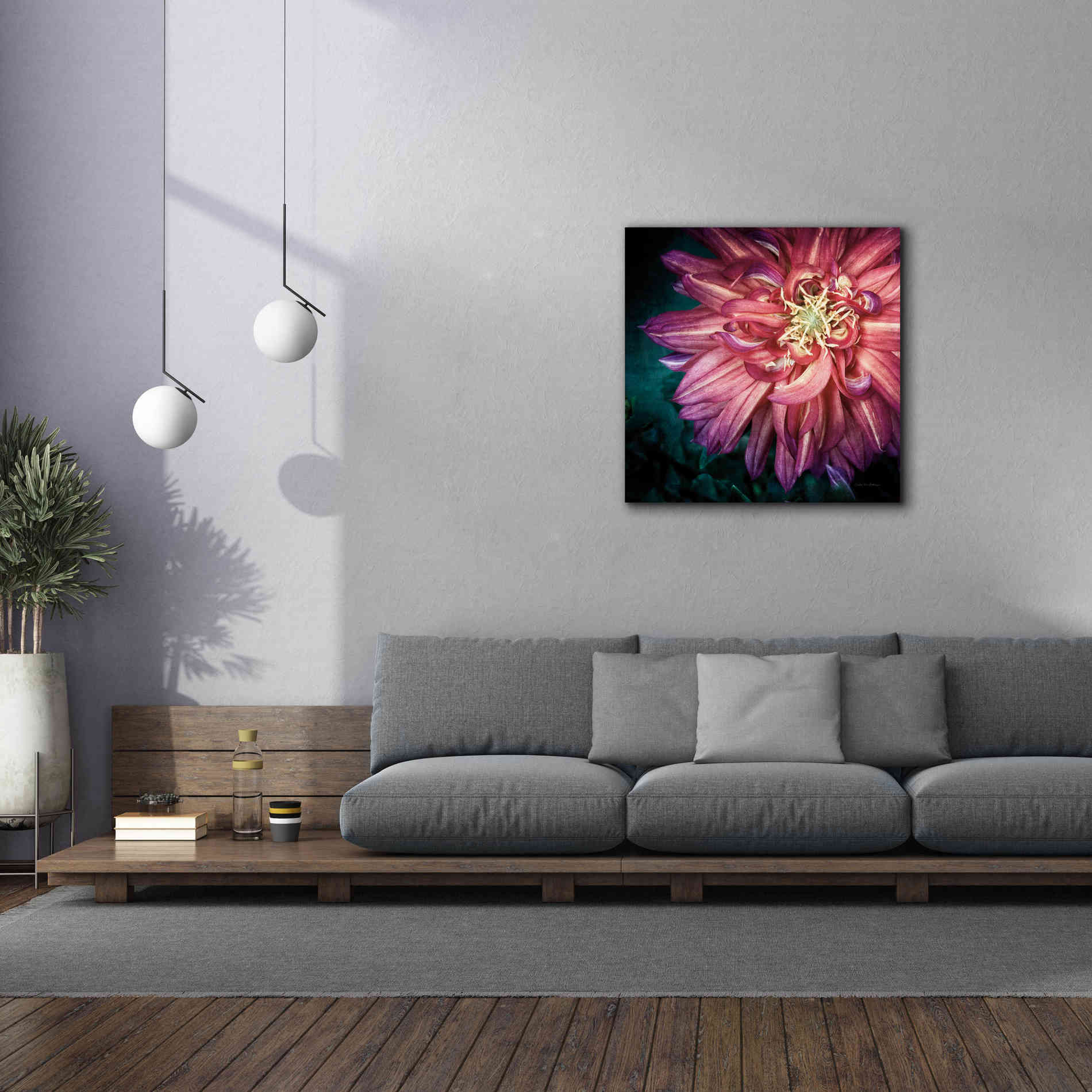 'Dahlia II' by Debra Van Swearingen, Canvas Wall Art,37 x 37
