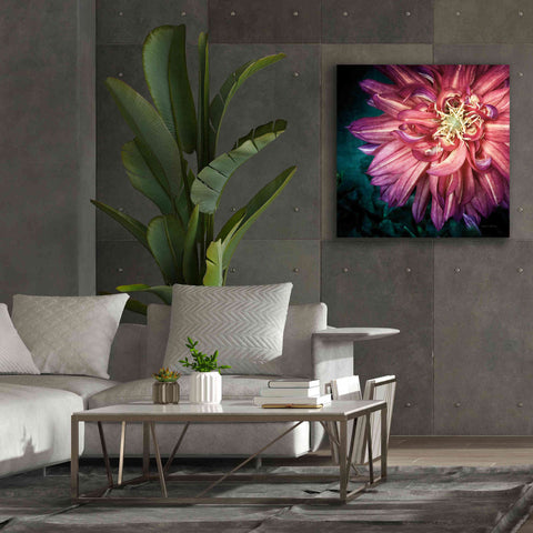 Image of 'Dahlia II' by Debra Van Swearingen, Canvas Wall Art,37 x 37