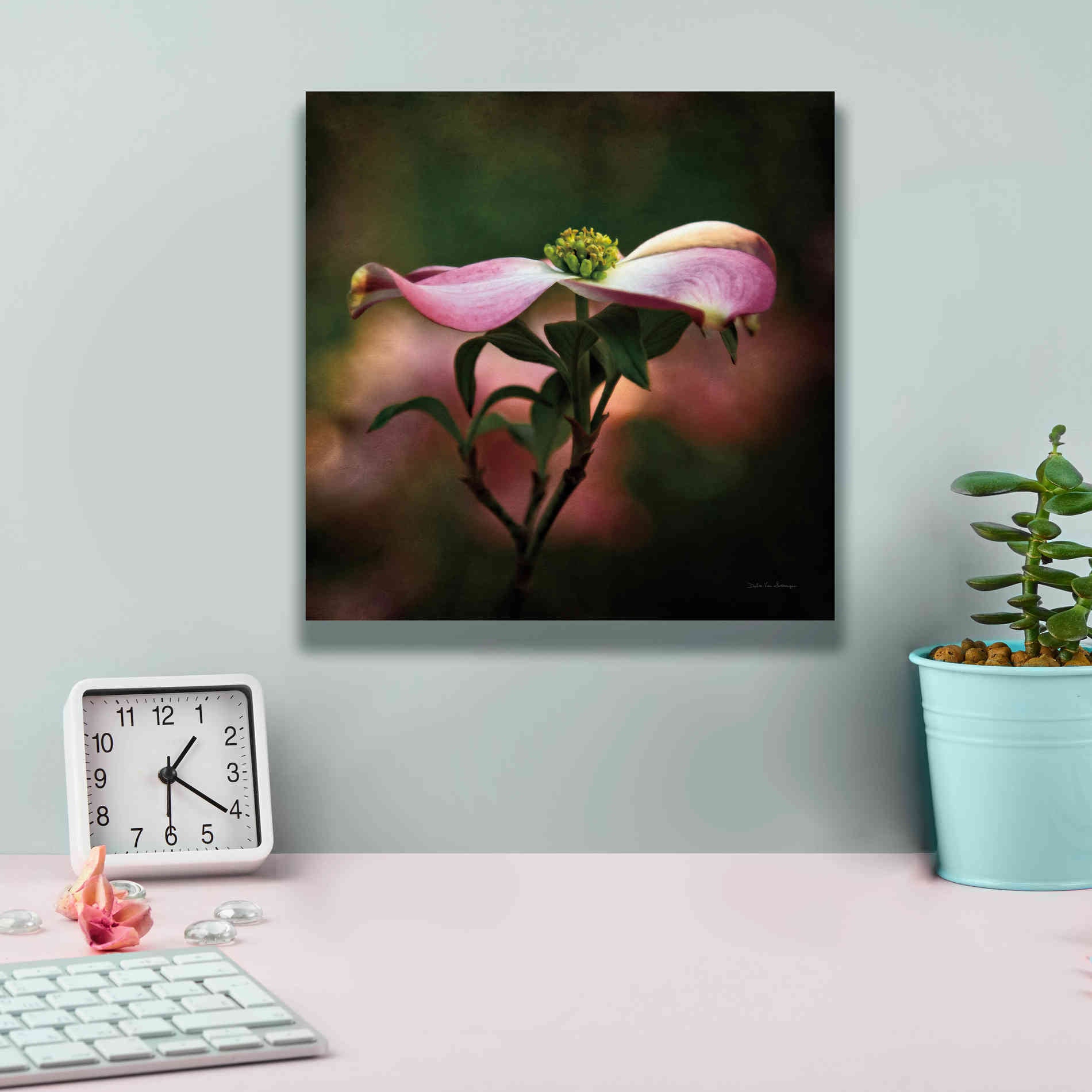 'Pink Dogwood I' by Debra Van Swearingen, Canvas Wall Art,12 x 12