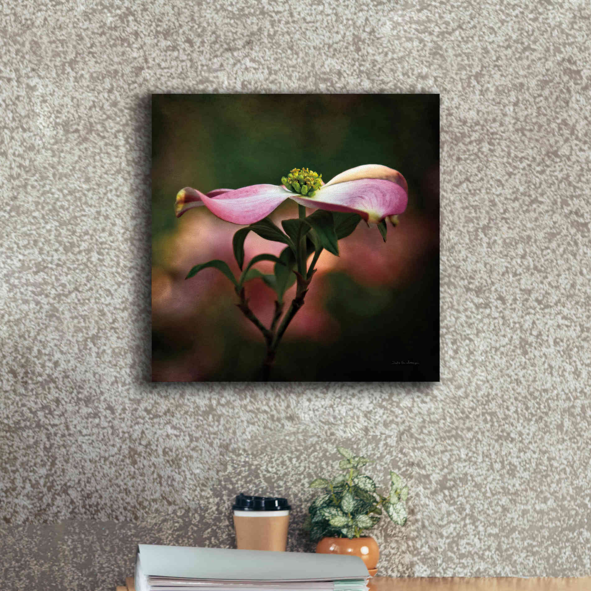 'Pink Dogwood I' by Debra Van Swearingen, Canvas Wall Art,18 x 18
