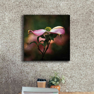 'Pink Dogwood I' by Debra Van Swearingen, Canvas Wall Art,18 x 18