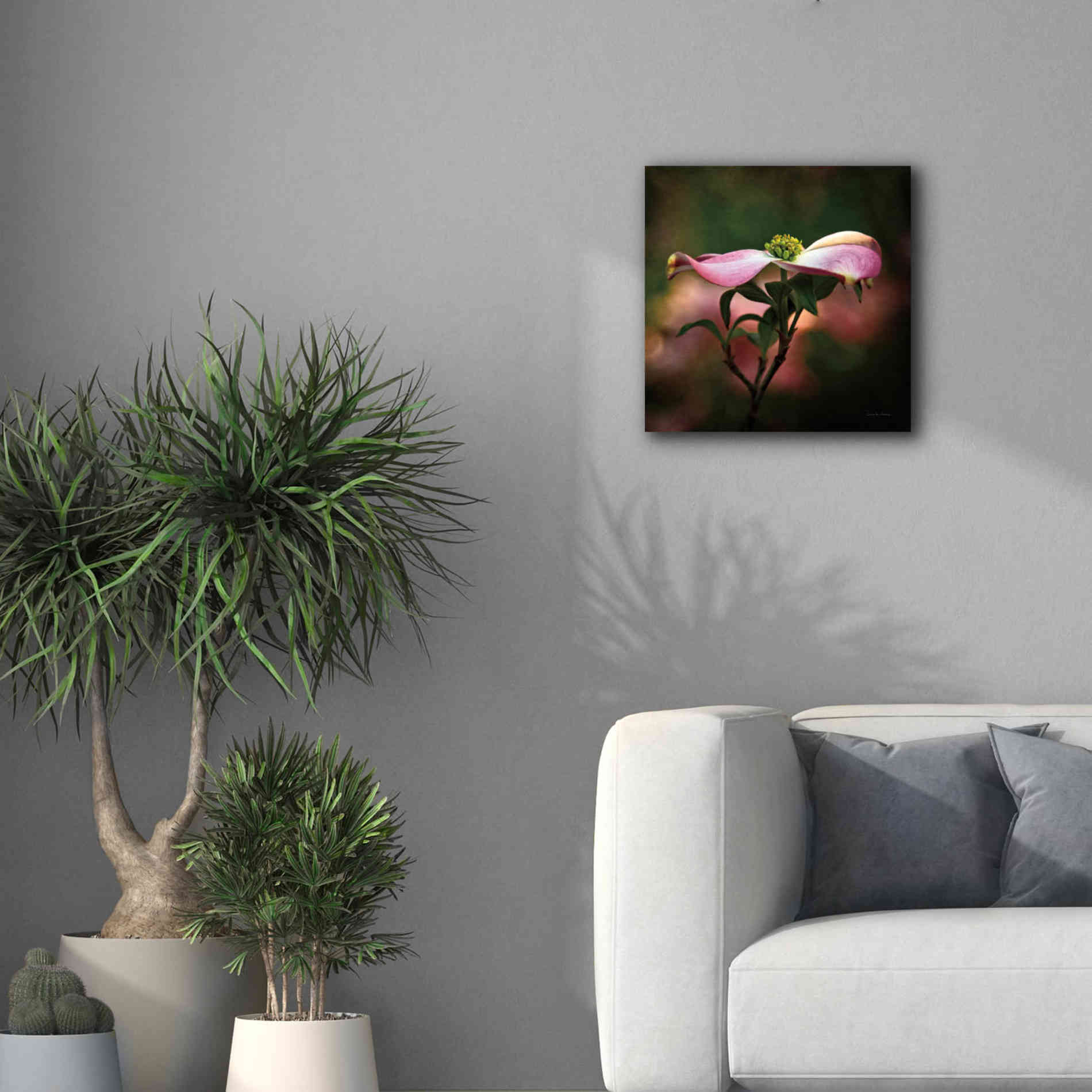 'Pink Dogwood I' by Debra Van Swearingen, Canvas Wall Art,18 x 18