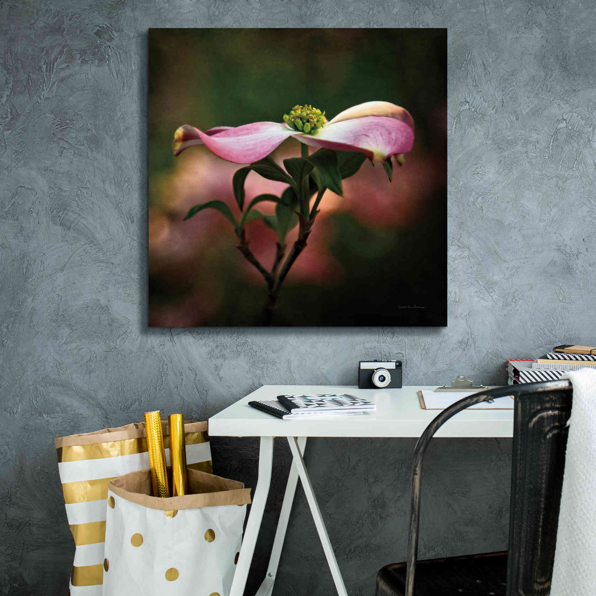 'Pink Dogwood I' by Debra Van Swearingen, Canvas Wall Art,26 x 26