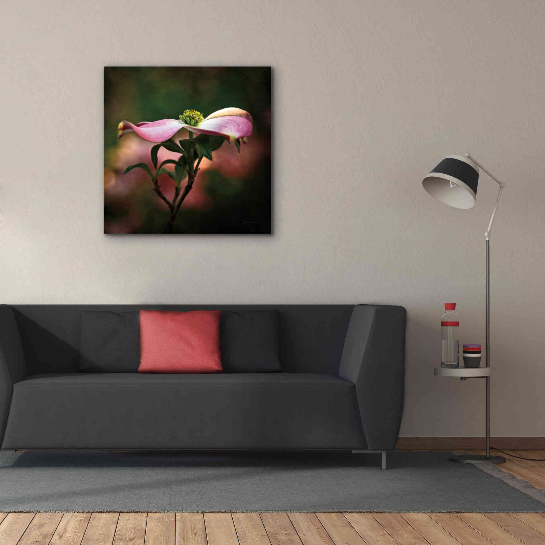 'Pink Dogwood I' by Debra Van Swearingen, Canvas Wall Art,37 x 37