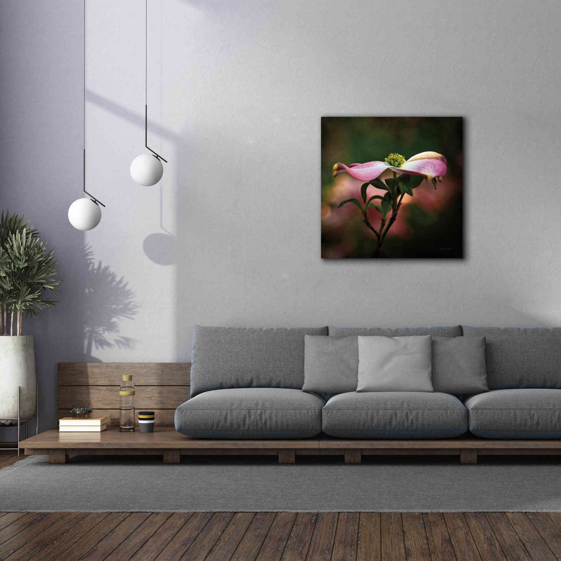 'Pink Dogwood I' by Debra Van Swearingen, Canvas Wall Art,37 x 37