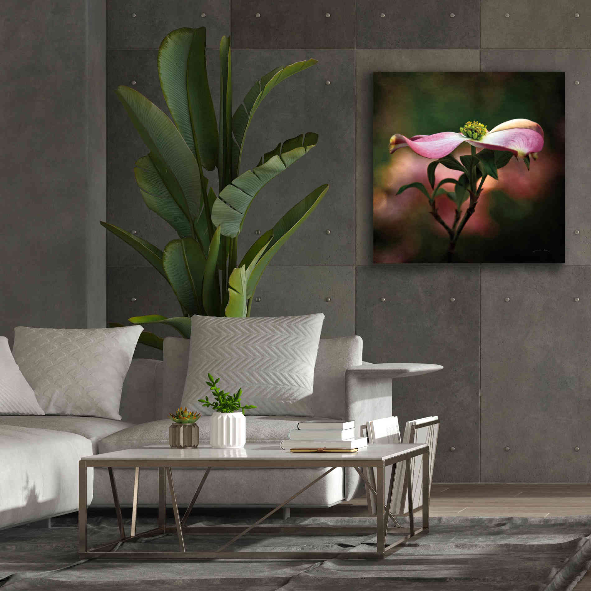 'Pink Dogwood I' by Debra Van Swearingen, Canvas Wall Art,37 x 37