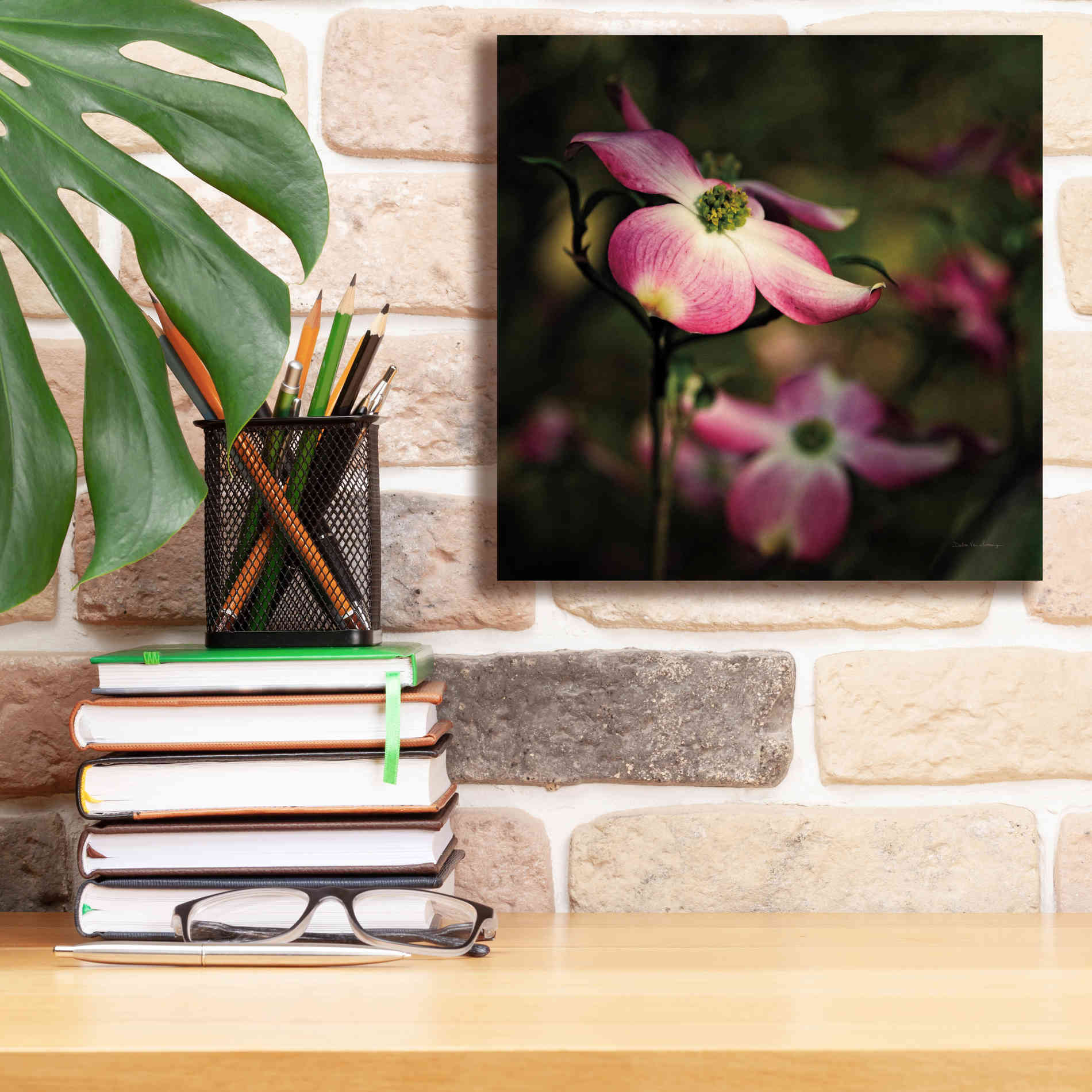 'Pink Dogwood II' by Debra Van Swearingen, Canvas Wall Art,12 x 12
