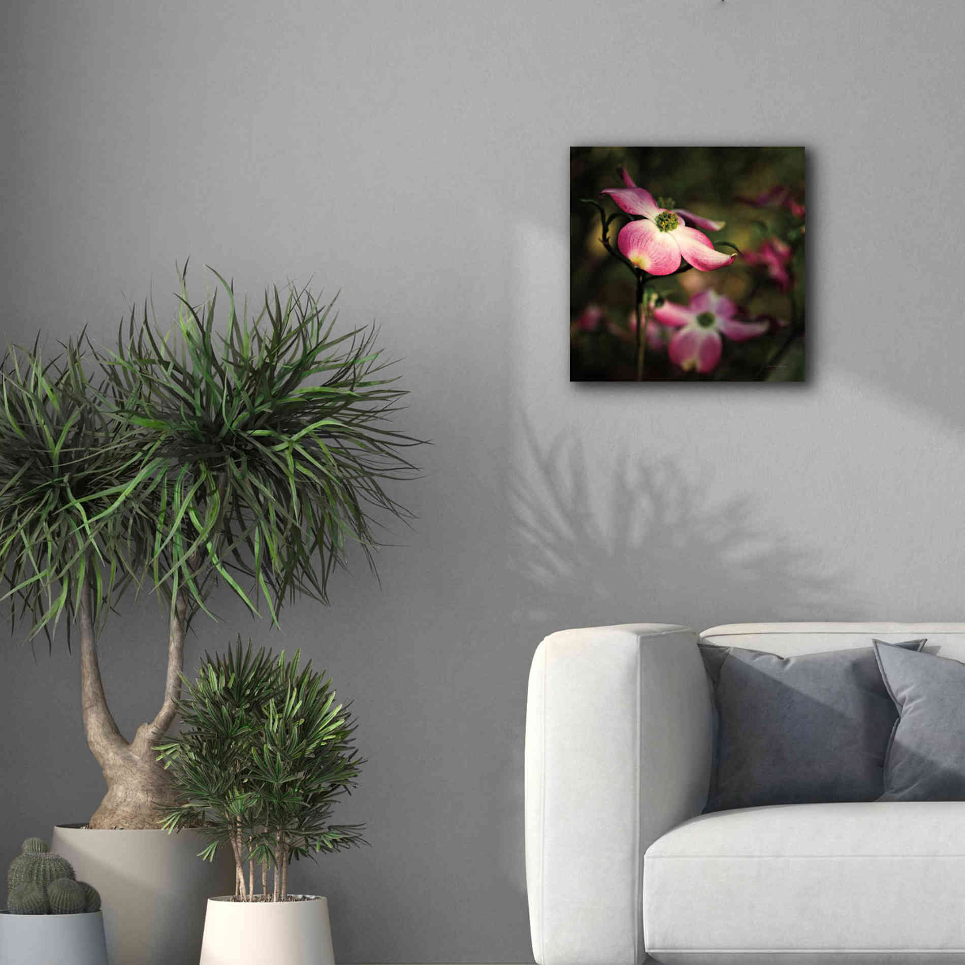 'Pink Dogwood II' by Debra Van Swearingen, Canvas Wall Art,18 x 18