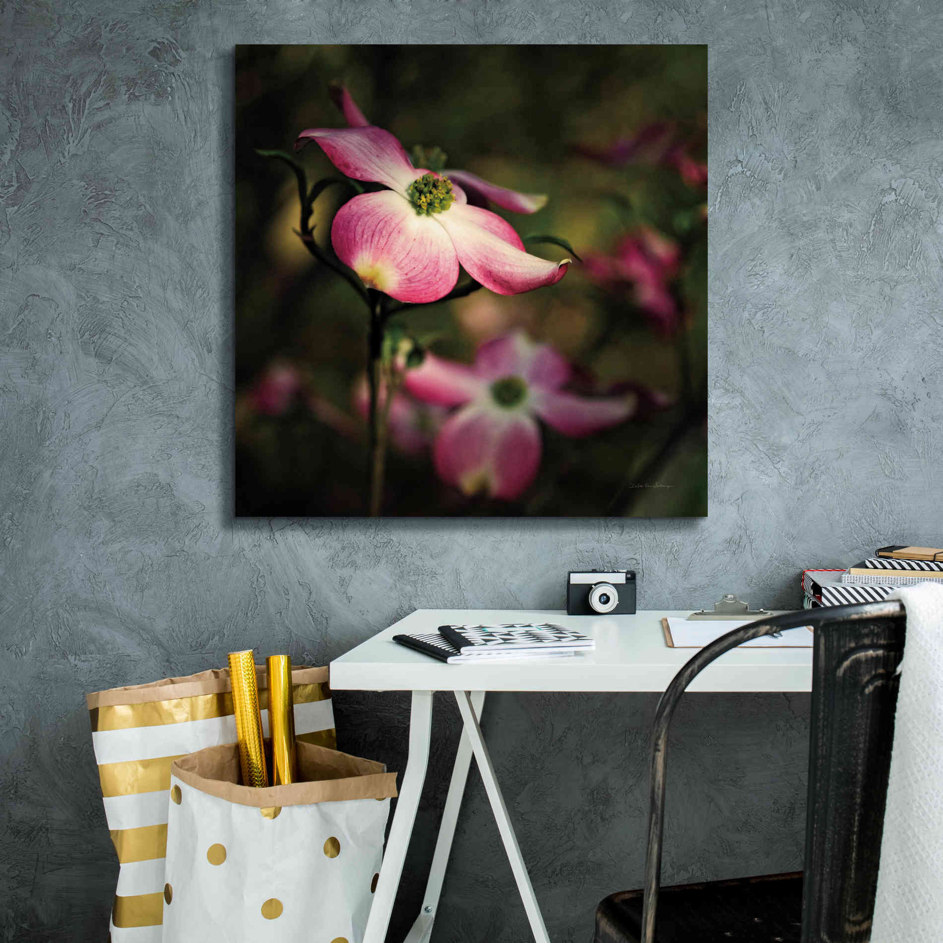 'Pink Dogwood II' by Debra Van Swearingen, Canvas Wall Art,26 x 26