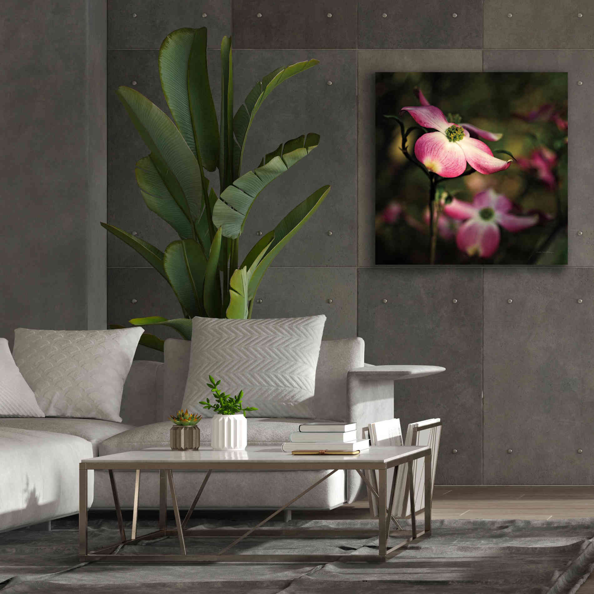 'Pink Dogwood II' by Debra Van Swearingen, Canvas Wall Art,37 x 37