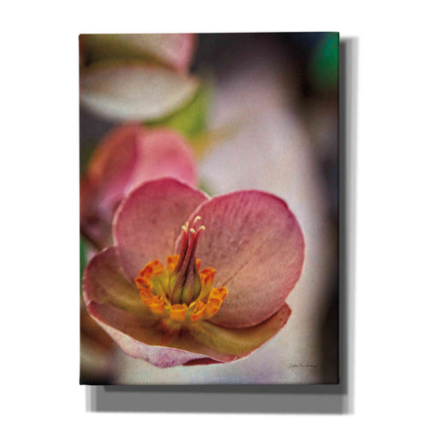 Image of 'Lenton Rose III' by Debra Van Swearingen, Canvas Wall Art,12x16x1.1x0,20x24x1.1x0,26x30x1.74x0,40x54x1.74x0