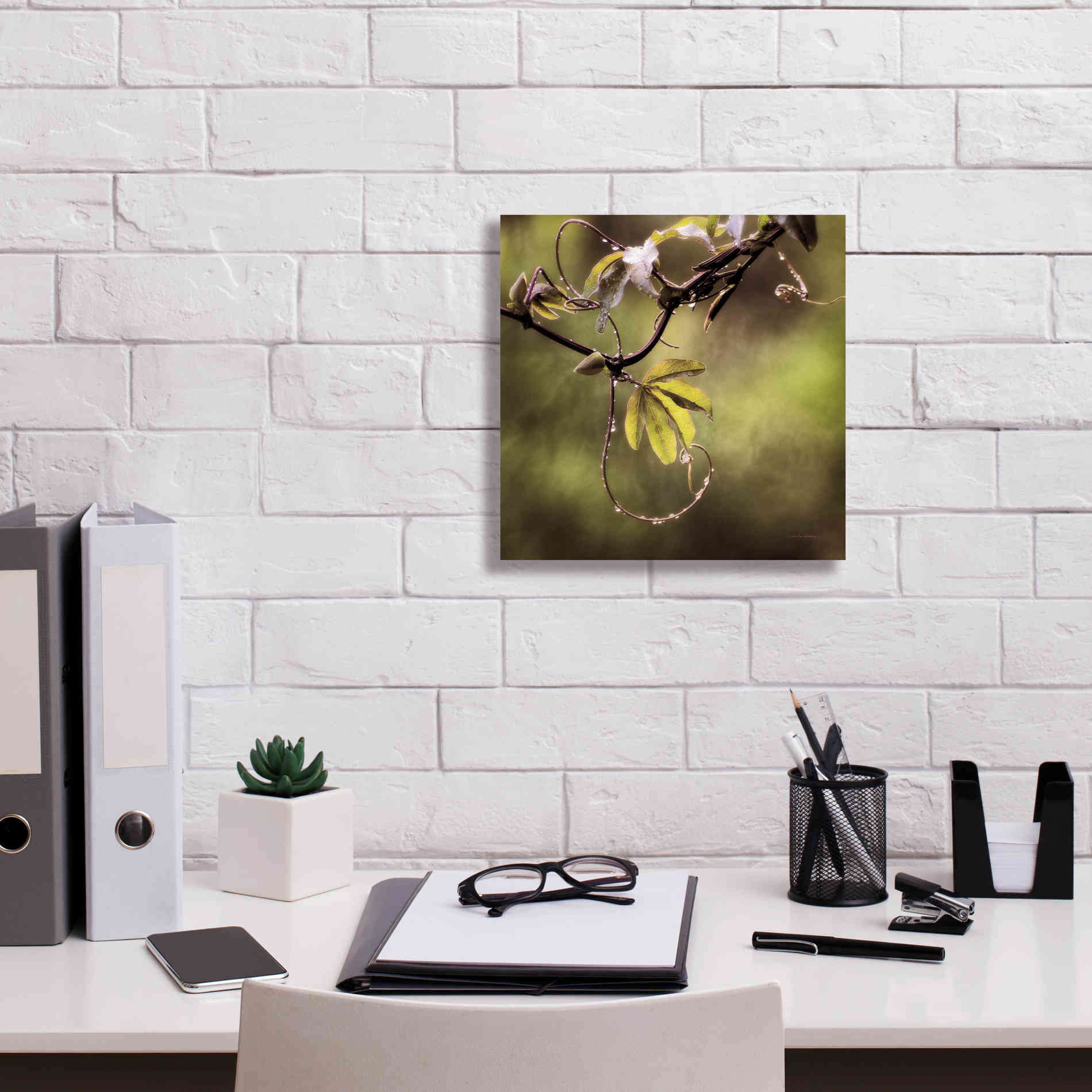 'Passion Flower Vine I' by Debra Van Swearingen, Canvas Wall Art,12 x 12