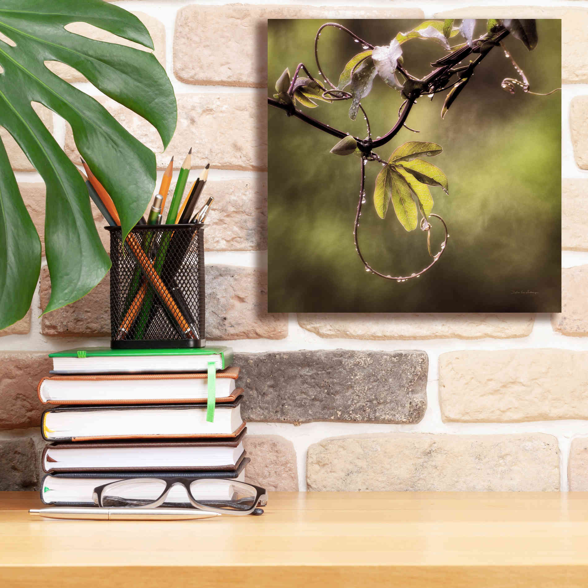 'Passion Flower Vine I' by Debra Van Swearingen, Canvas Wall Art,12 x 12