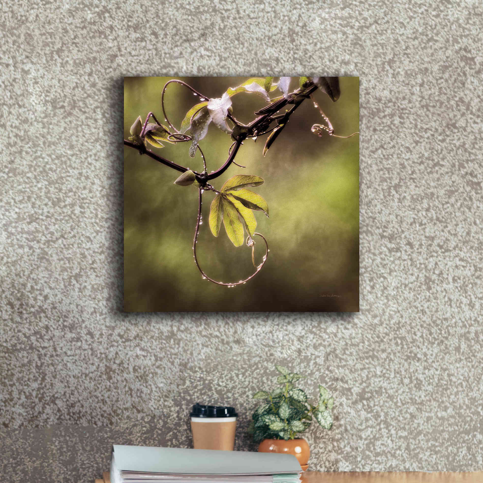 'Passion Flower Vine I' by Debra Van Swearingen, Canvas Wall Art,18 x 18