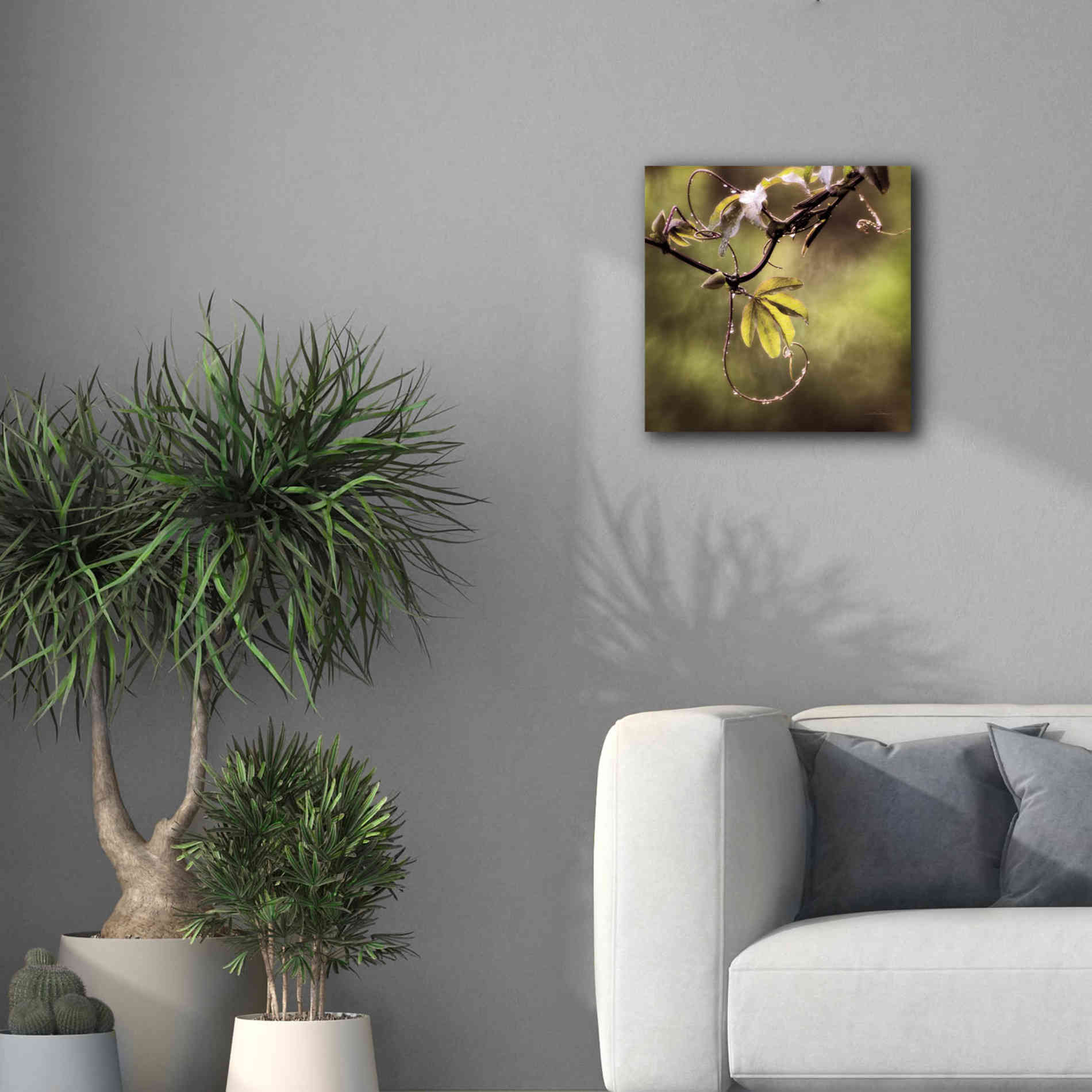 'Passion Flower Vine I' by Debra Van Swearingen, Canvas Wall Art,18 x 18