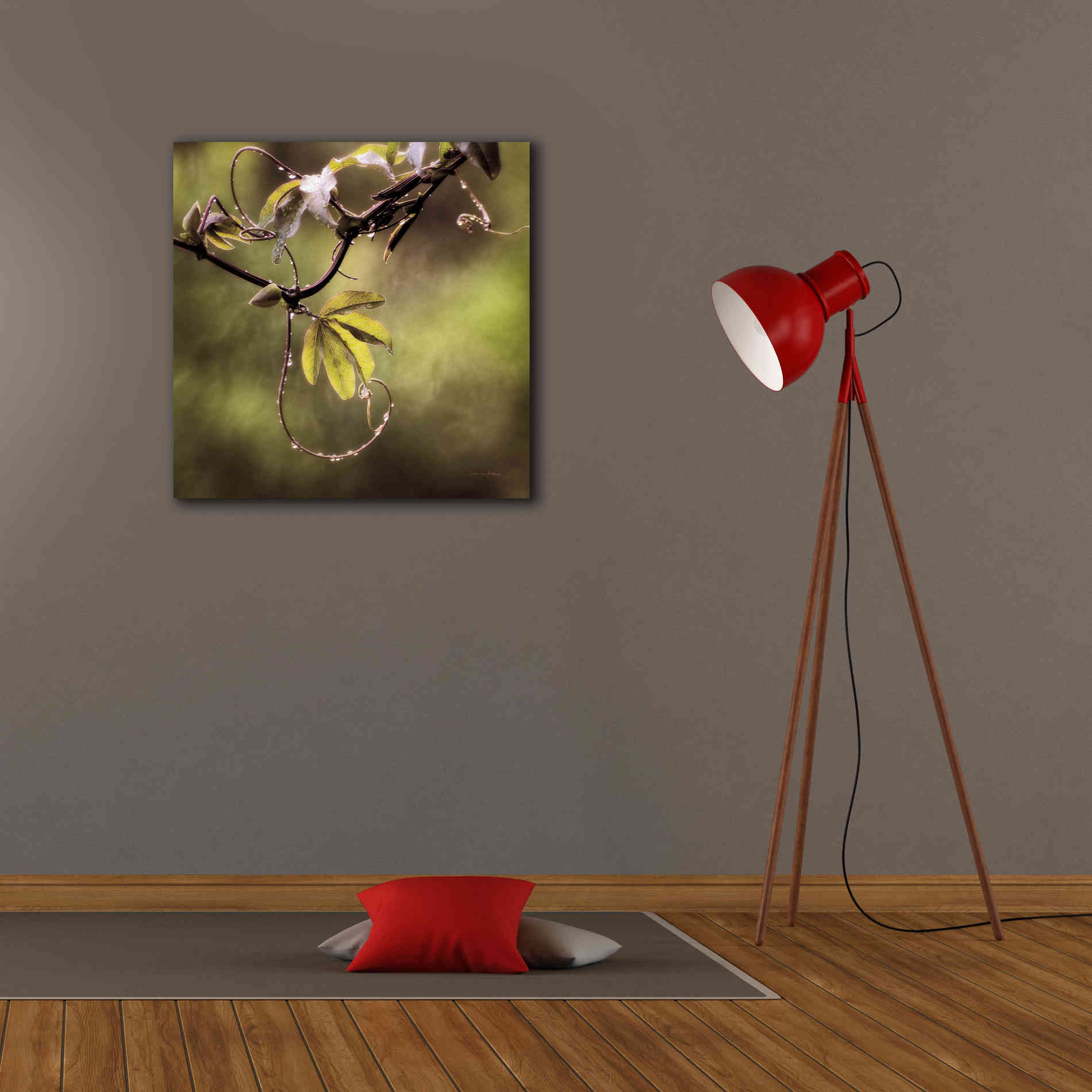 'Passion Flower Vine I' by Debra Van Swearingen, Canvas Wall Art,26 x 26
