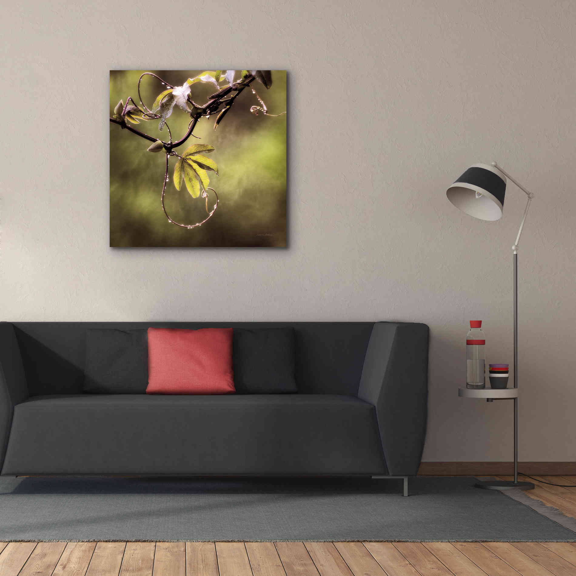 'Passion Flower Vine I' by Debra Van Swearingen, Canvas Wall Art,37 x 37