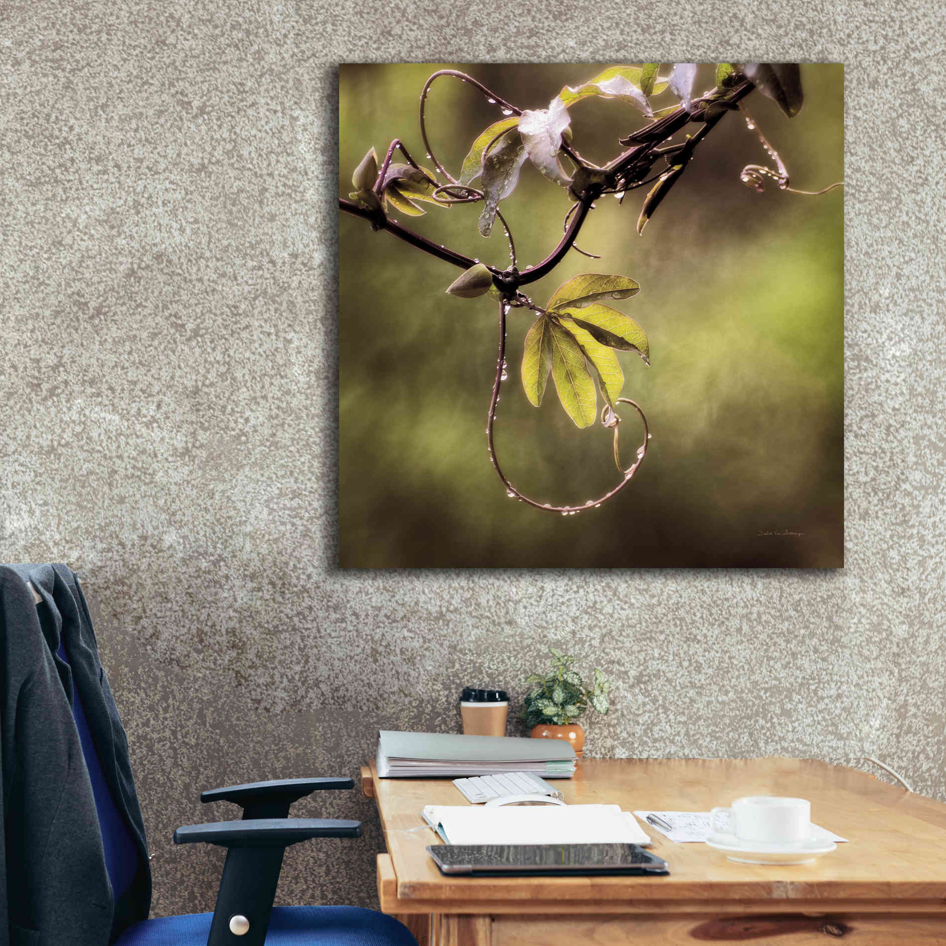 'Passion Flower Vine I' by Debra Van Swearingen, Canvas Wall Art,37 x 37
