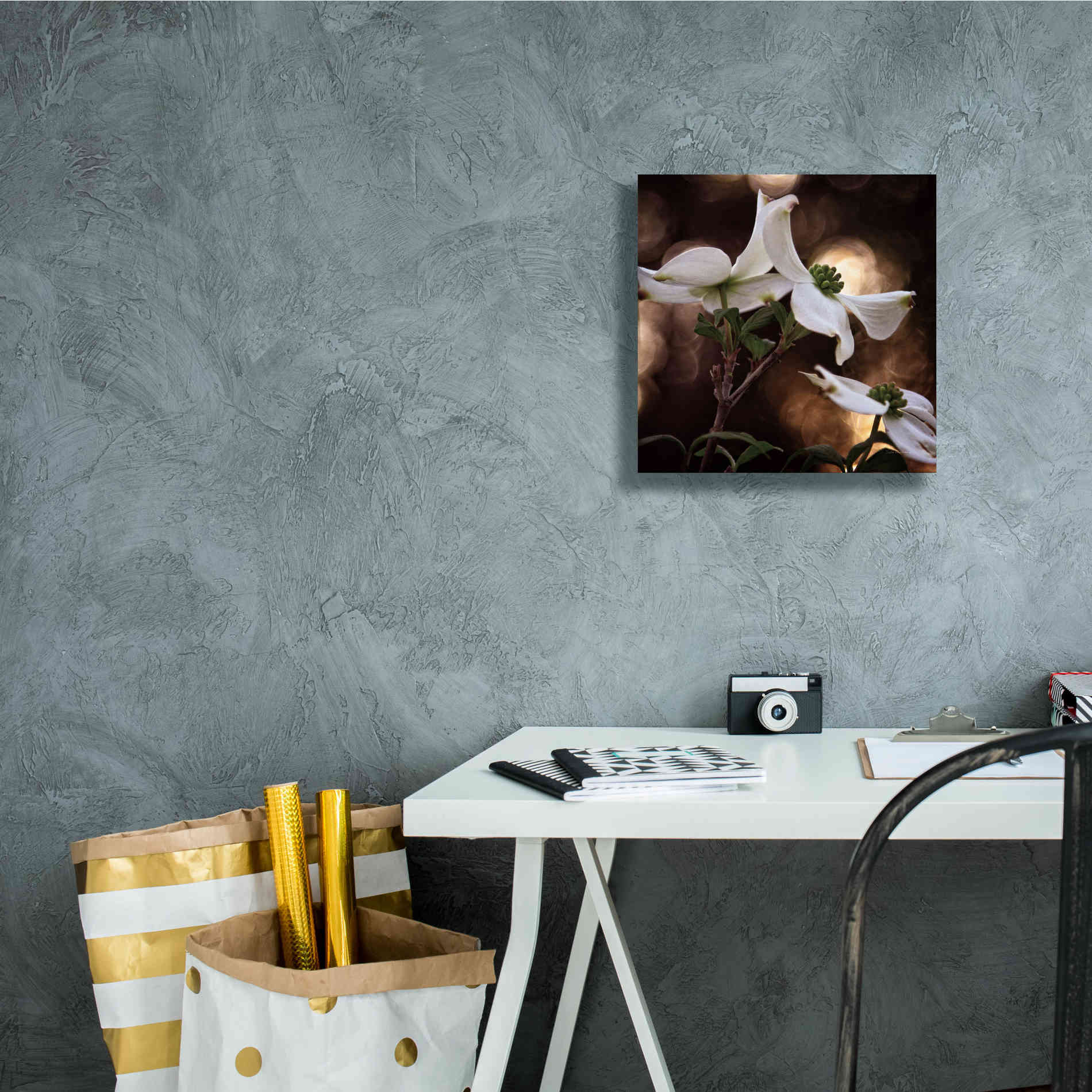 'White Dogwood I' by Debra Van Swearingen, Canvas Wall Art,12 x 12