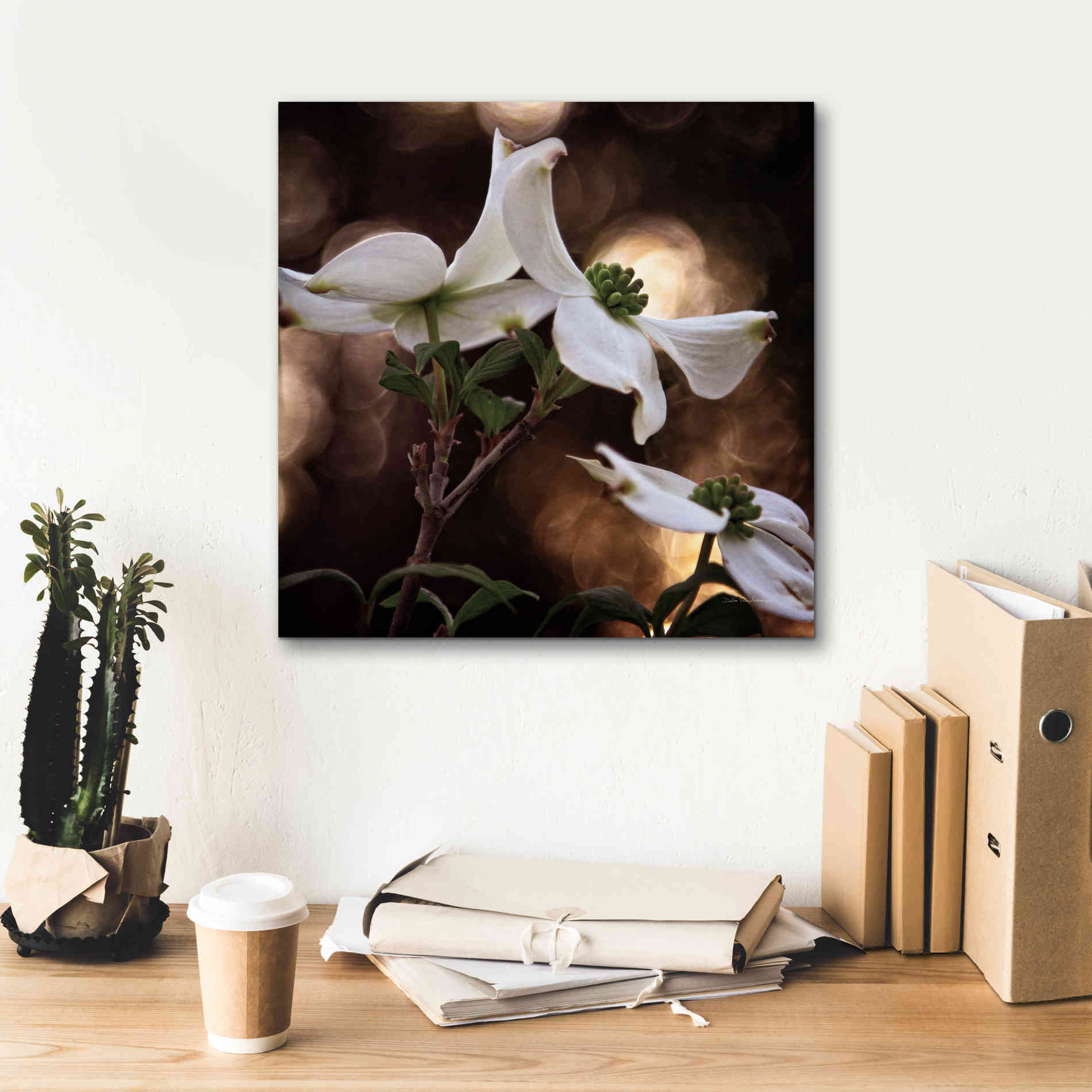 'White Dogwood I' by Debra Van Swearingen, Canvas Wall Art,18 x 18
