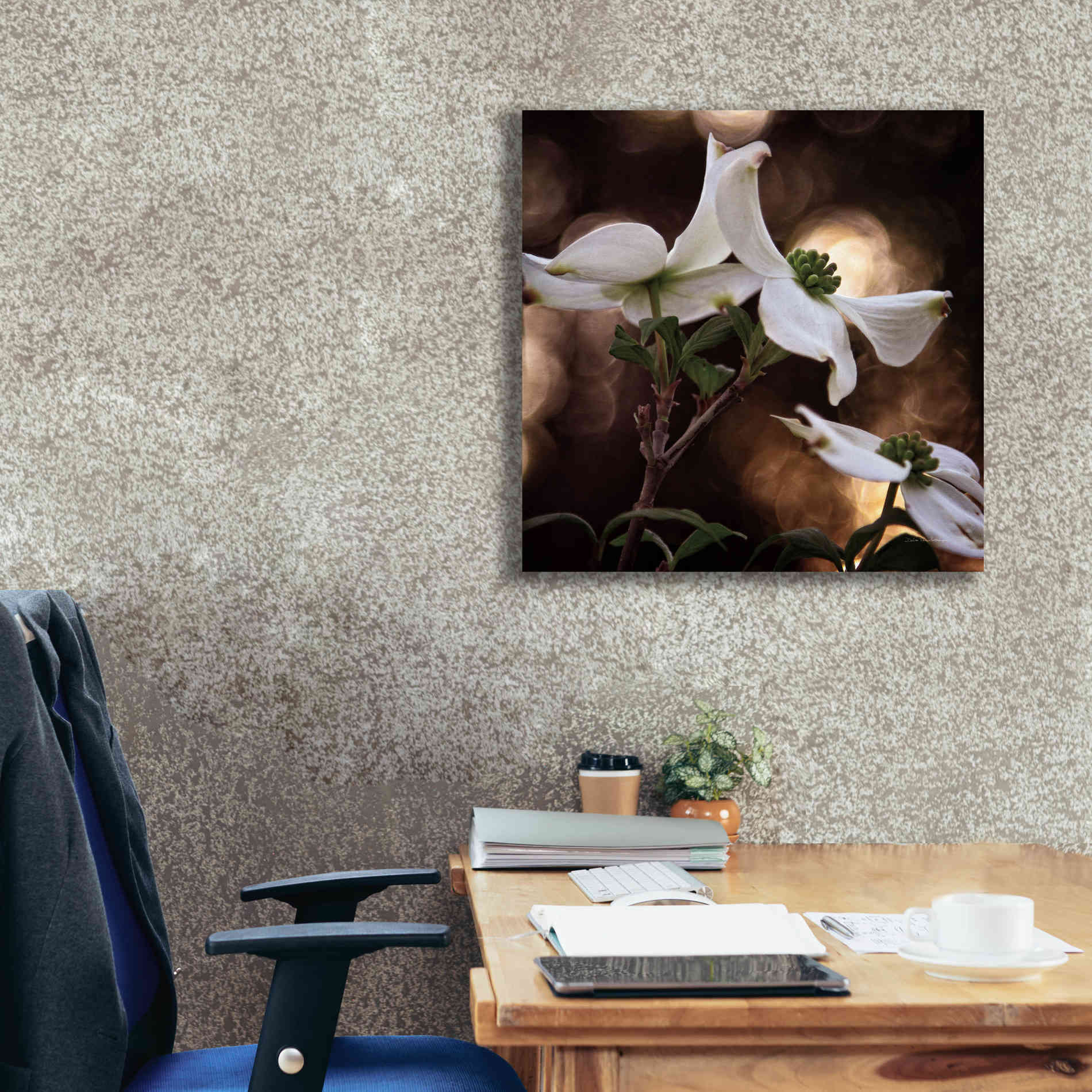 'White Dogwood I' by Debra Van Swearingen, Canvas Wall Art,26 x 26
