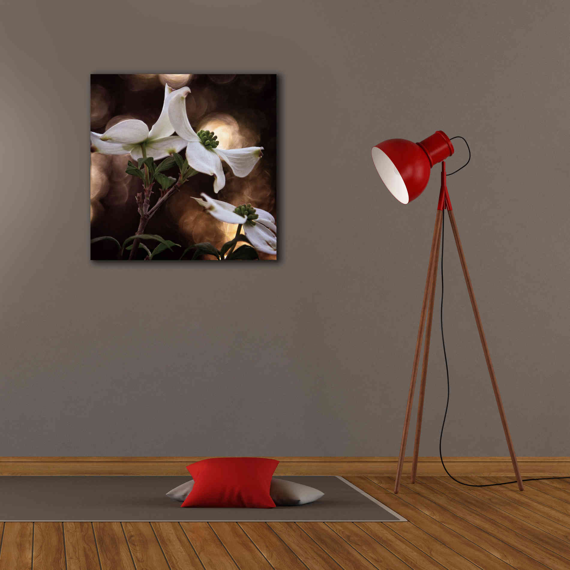 'White Dogwood I' by Debra Van Swearingen, Canvas Wall Art,26 x 26
