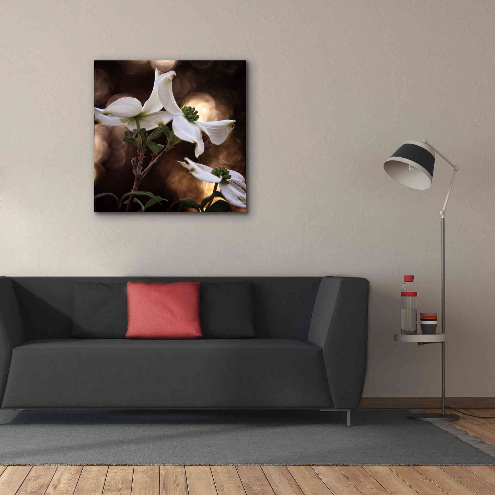 'White Dogwood I' by Debra Van Swearingen, Canvas Wall Art,37 x 37