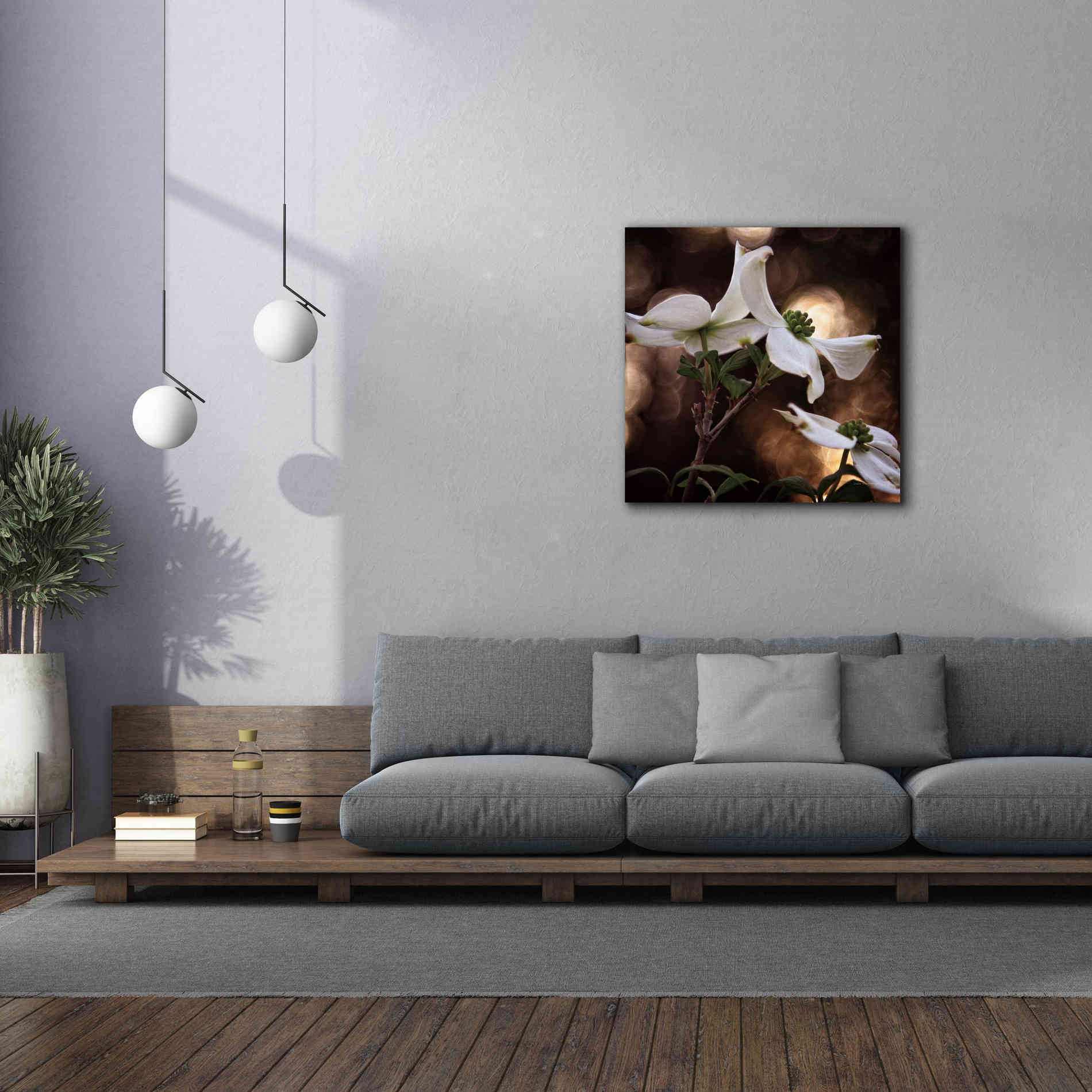 'White Dogwood I' by Debra Van Swearingen, Canvas Wall Art,37 x 37