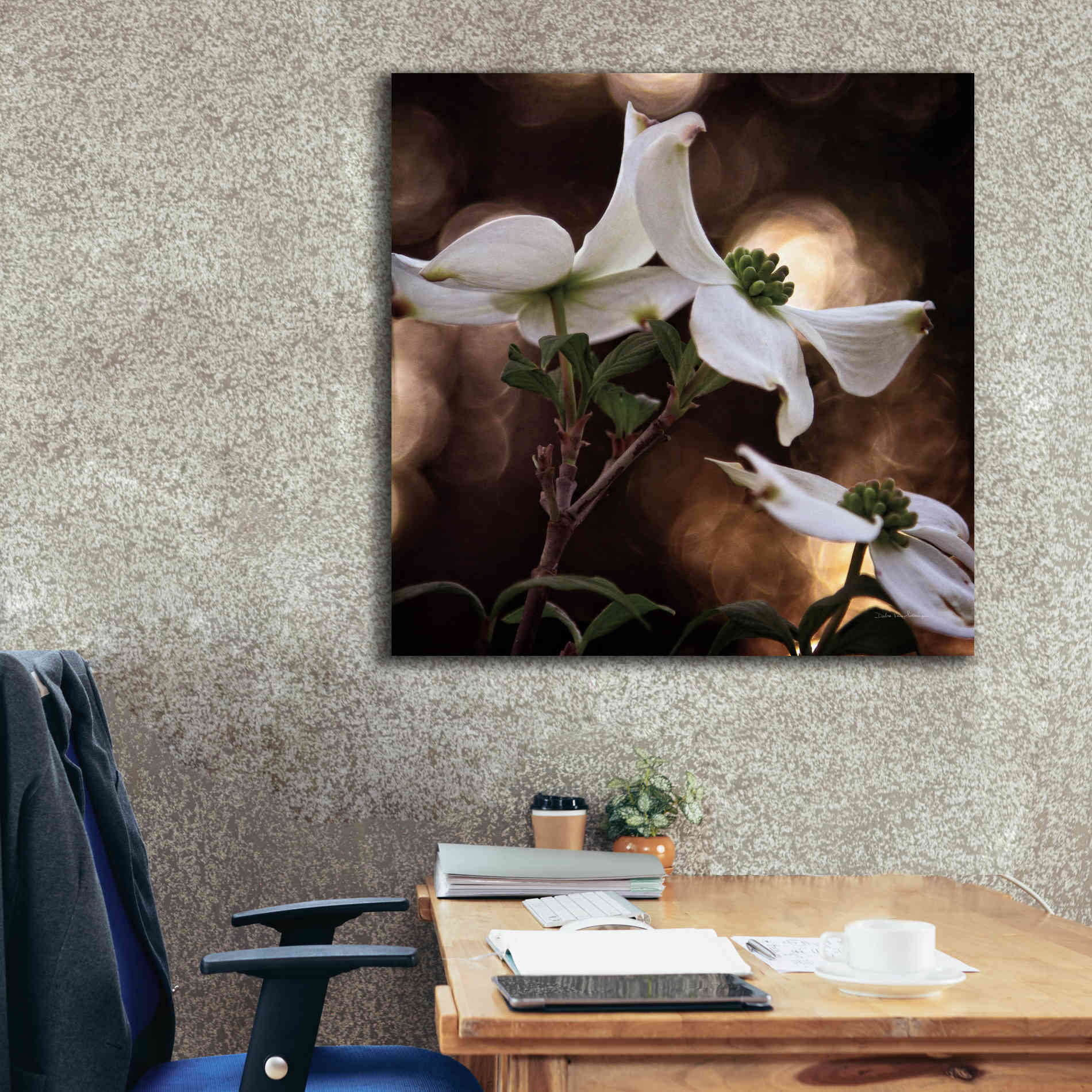 'White Dogwood I' by Debra Van Swearingen, Canvas Wall Art,37 x 37