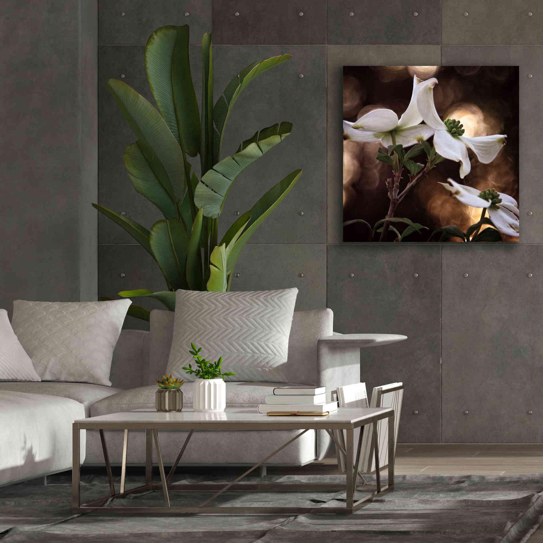 'White Dogwood I' by Debra Van Swearingen, Canvas Wall Art,37 x 37