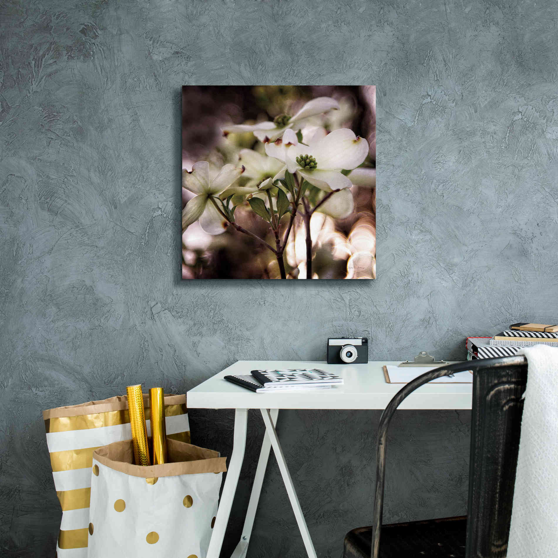 'White Dogwood II' by Debra Van Swearingen, Canvas Wall Art,18 x 18