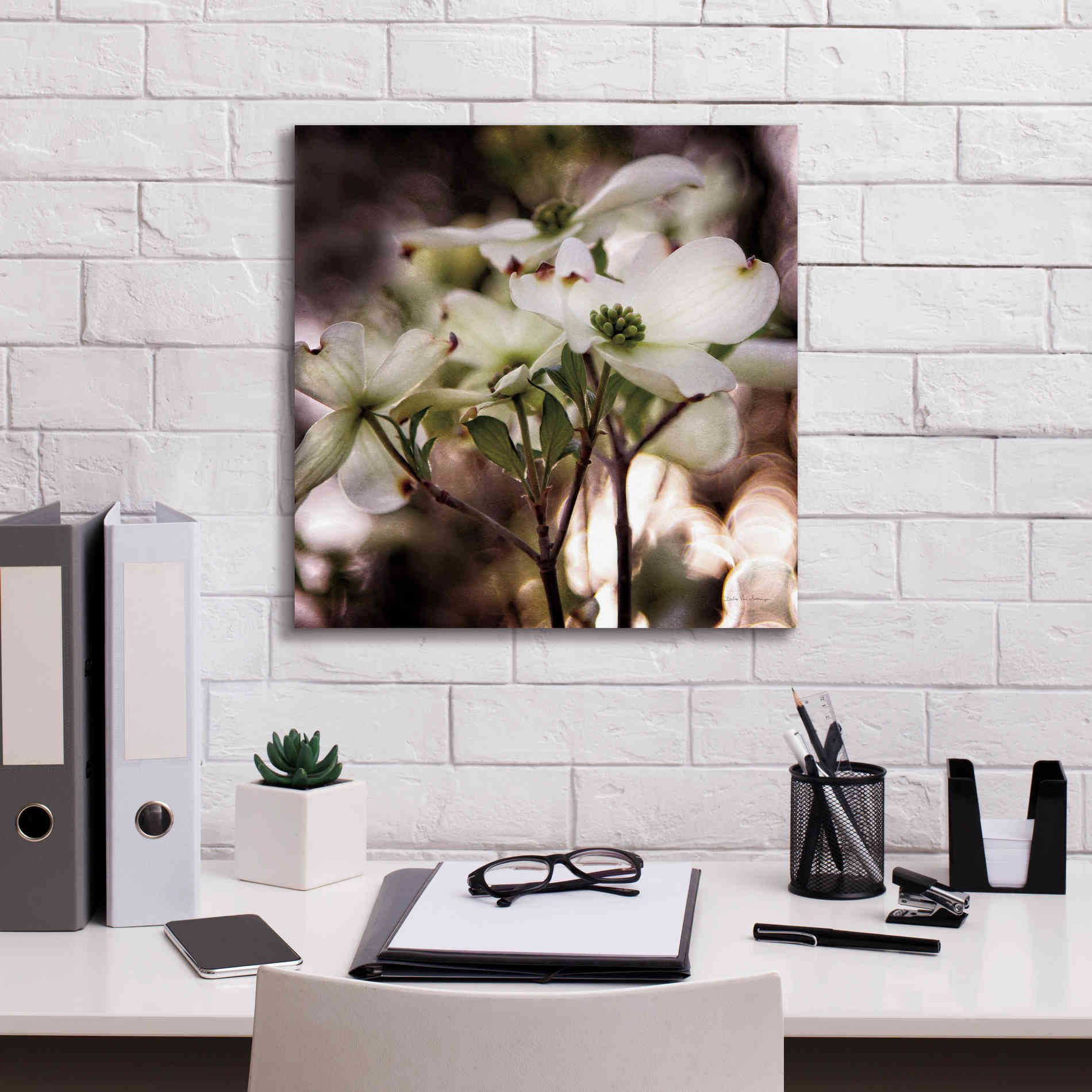 'White Dogwood II' by Debra Van Swearingen, Canvas Wall Art,18 x 18
