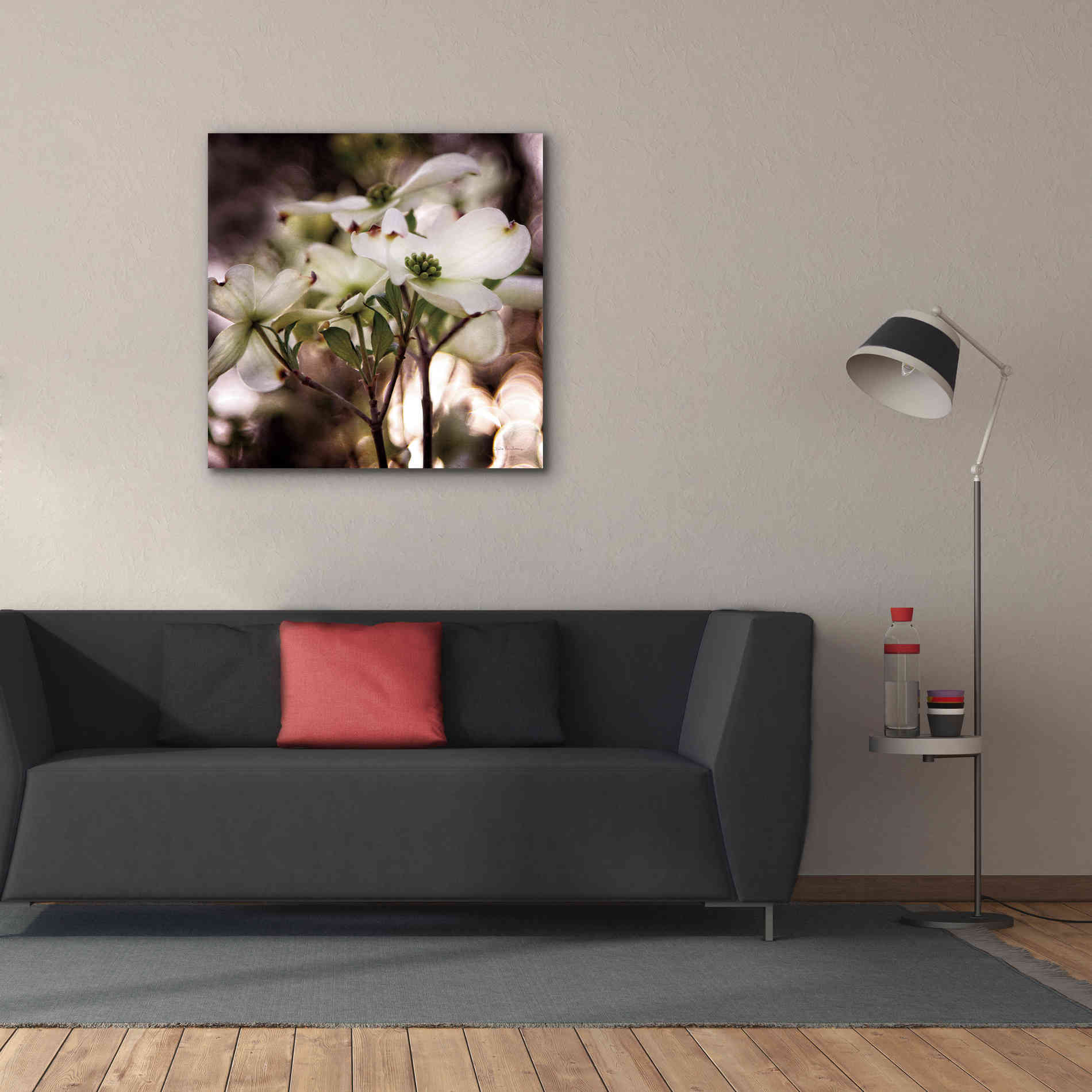 'White Dogwood II' by Debra Van Swearingen, Canvas Wall Art,37 x 37